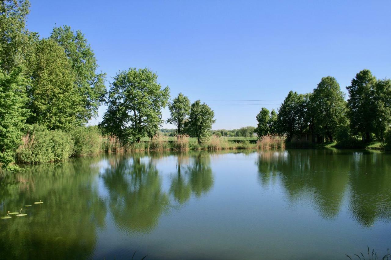 Gaestehaus Gaumenflug Am See กุนซ์บวร์ก ภายนอก รูปภาพ