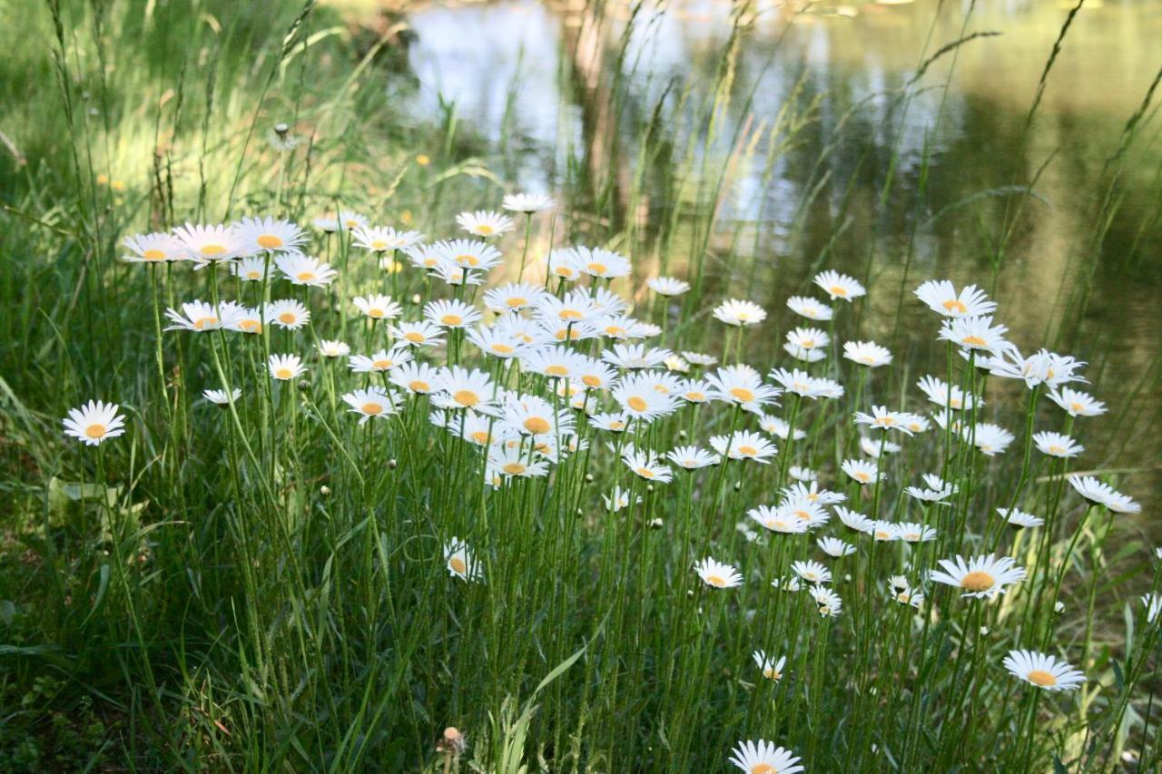 Gaestehaus Gaumenflug Am See กุนซ์บวร์ก ภายนอก รูปภาพ